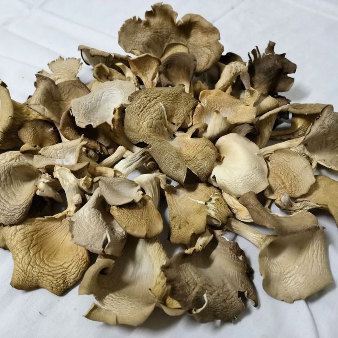 本地生產 香城遺菇 風乾混合蠔菇 (極簡紙袋裝)